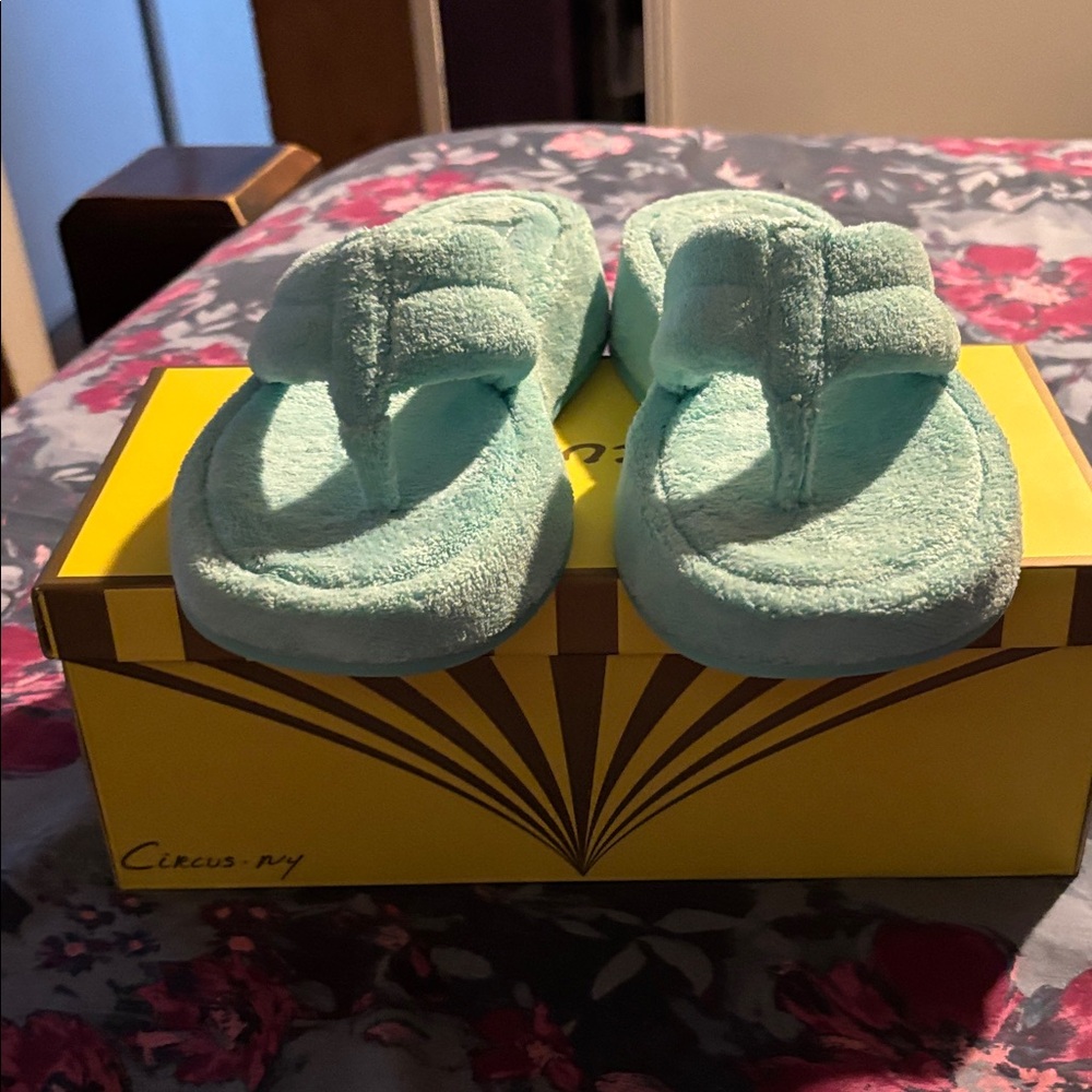 Circus by Sam Edelman Light Blue Plush Sandals